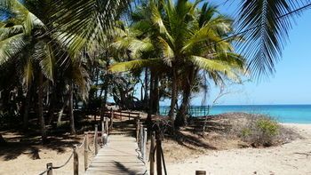 Check-in or Check-out Kiosk